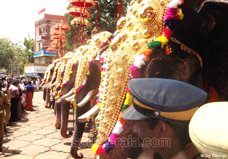 thrissur-pooram-2011- (26)